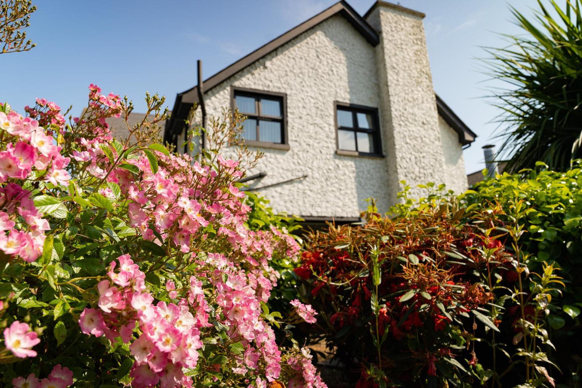 The Briers Country House Newcastle  Exteriér fotografie